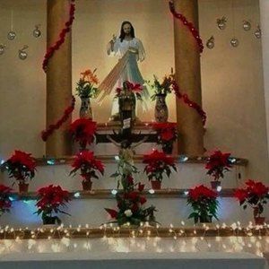 Meet your Posher, Leo